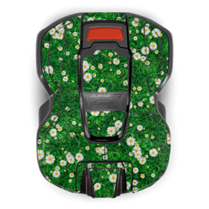 Lillemustriga kleebis